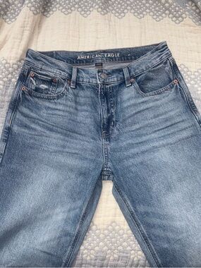 American Eagle Strigid Low Rise Baggy Straight Jeans